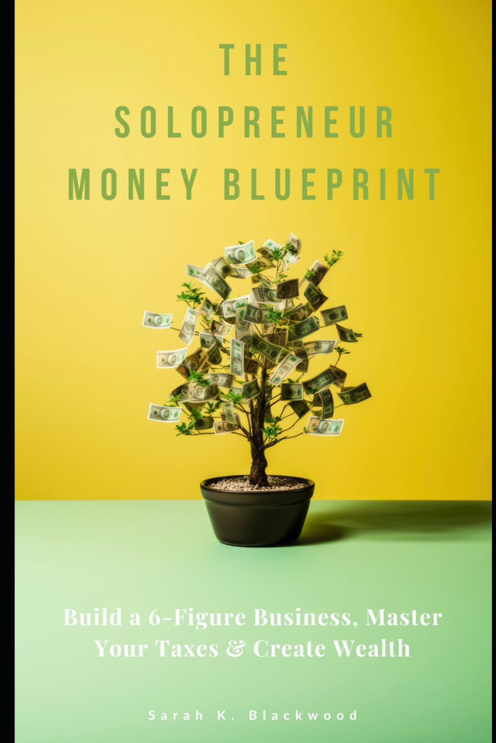 The Solopreneur Money Blueprint: Build a 6-Figure Business, Master Your Taxes & Create Wealth — The Complete Financial Guide for Freelancers, Consultants, and Self-Employed Professionals