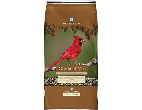 Top 5 Best Bird Seed for Cardinals (Reviews and Buyer's Guide)