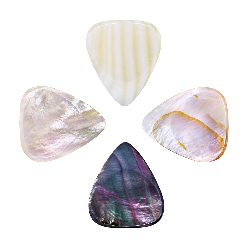 Timber Tones Shell Tones - Confezione di 4 plettri in contenitore di latta, motivi vari