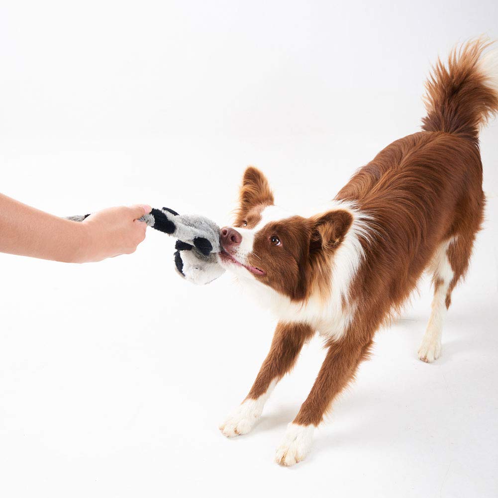 JOYELF Jouet en peluche pour chien qui couine, animaux en peluche pour chien, renard et raton laveur avec papier froissé