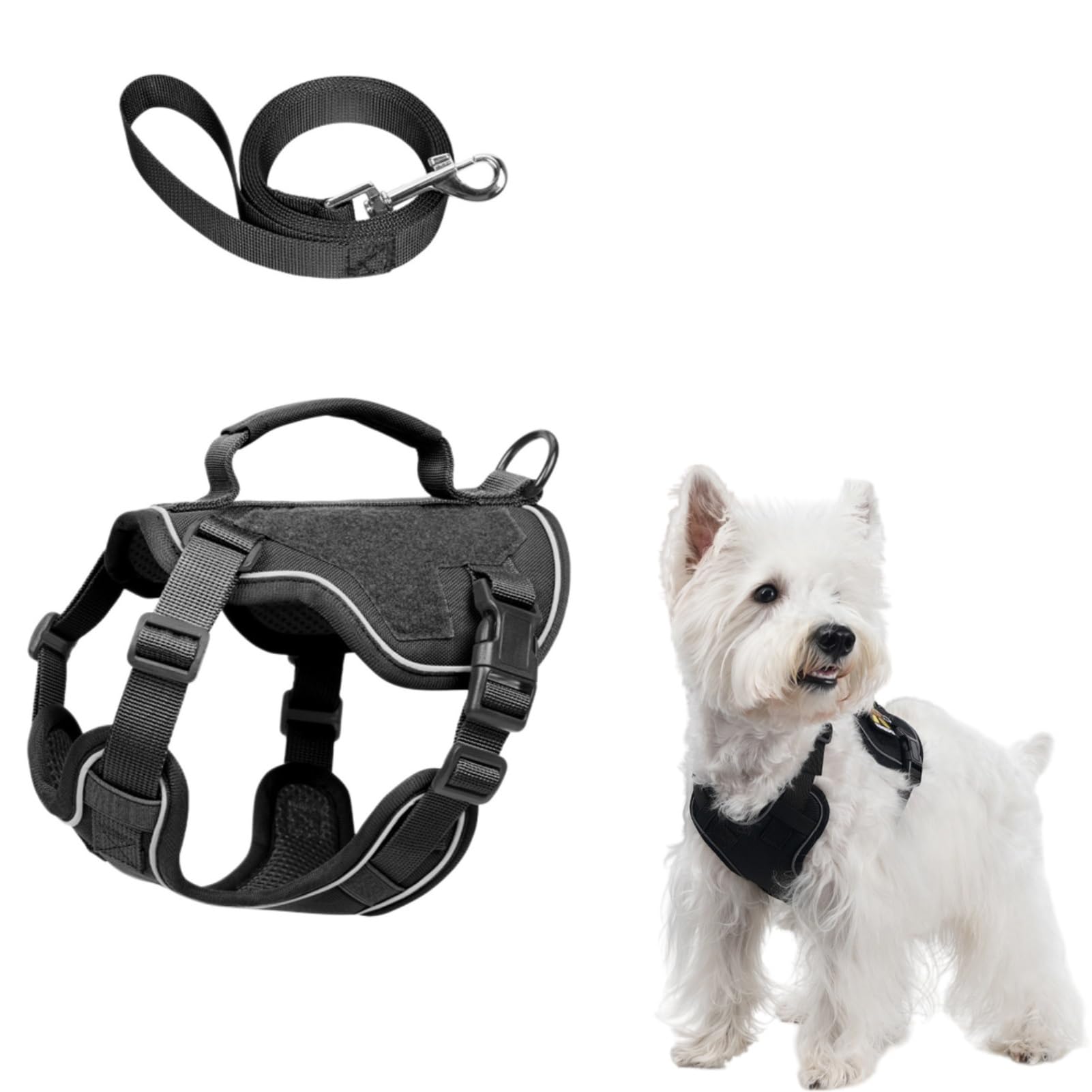 Dog Harness and Leash Set, No Pull Dog Harness Reflective with Handle Control & Leash Ring, Breathable Adjustable Pet Vest Harness for Puppies, Small & Medium Dogs (Black, XS)