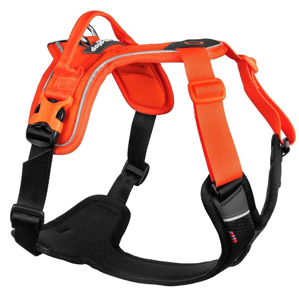 Non-Stop Dogwear Ramble Harness, Black/Orange - S