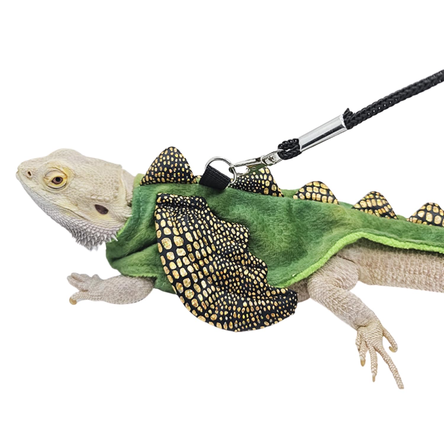 WCDJOMOP Bearded Dragon Harness Leash Set - Halloween Costume Adjustable Lizard Dinosaur Leash Harness with Wing Outdoor Walking Lead Control Rope for Bearded Dragon Reptiles Small Animals (S,Green)