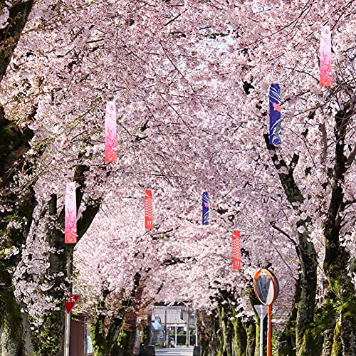 DOITOOL 6 peças japonesas, biruta de vento, carpa japonesa, giratória, bandeira de peixe, pipa, Koin