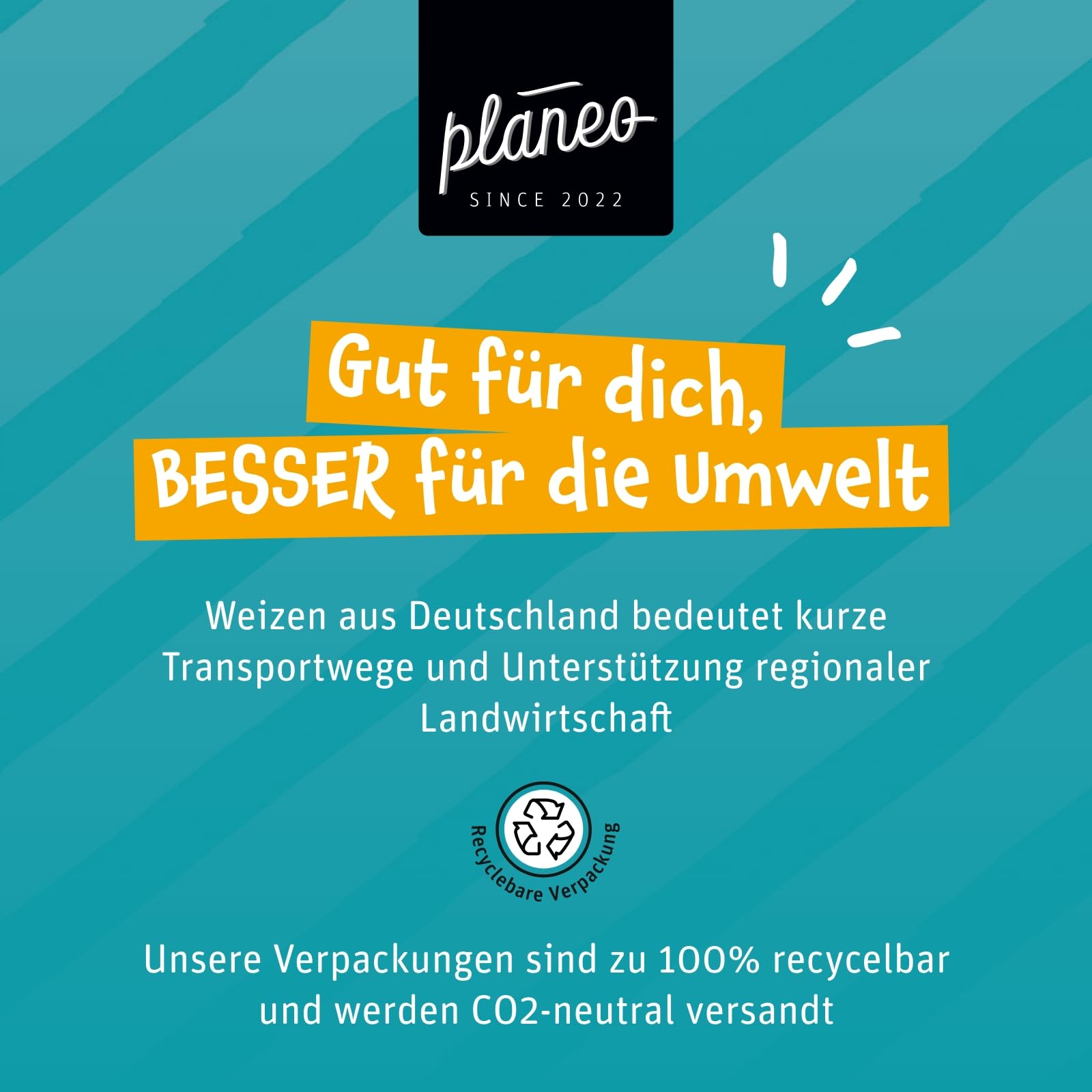 Planeo Seitan Classic 5kg - veganer Fleischersatz, proteinreich, produziert in Deutschland, vielseitig verwendbar, Weizengluten