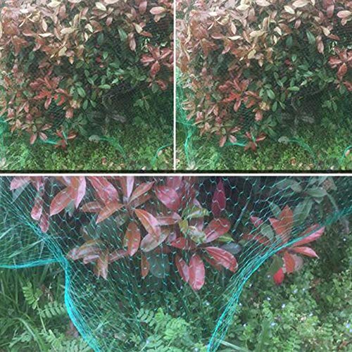 JIAYUAN - Malla de Tela Resistente para Cultivo de Flores de ...