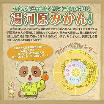 まゆすけ☆みかん10kg3箱訳あり ご家庭用不選別 湯河原みかん まゆすけ様専用☆みかん10kg3箱🍊訳あり ご家庭用不選別 湯河原