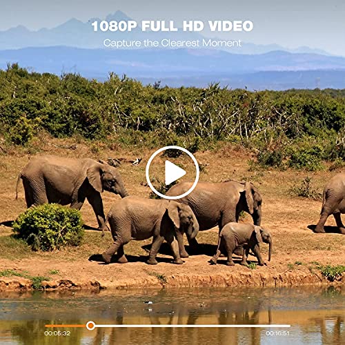 Wildkamera 20MP 1080P Nachtsicht mit 3 Sensoren Bewegungsmelder zur Beobachtung, Wildtierkamera mit IP56 Wasserdicht – Bild 5