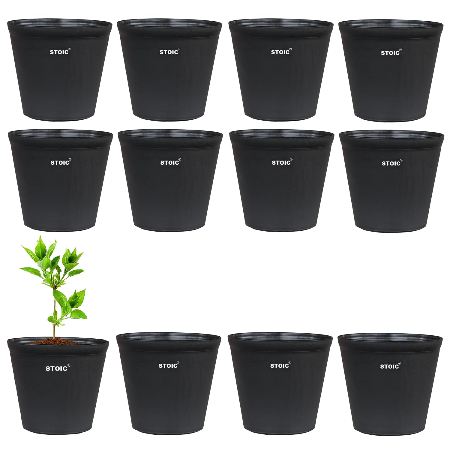 STOIC Nursery Flower Pot Gamla Plant Pots Suitable Planters, Terrace, Garden Etc | Indoor & Outdoor Gardening 4-inch Plastic (Pack of 12) Black (B0CFXWCYM5) Amazon Price History, Amazon Price Tracker