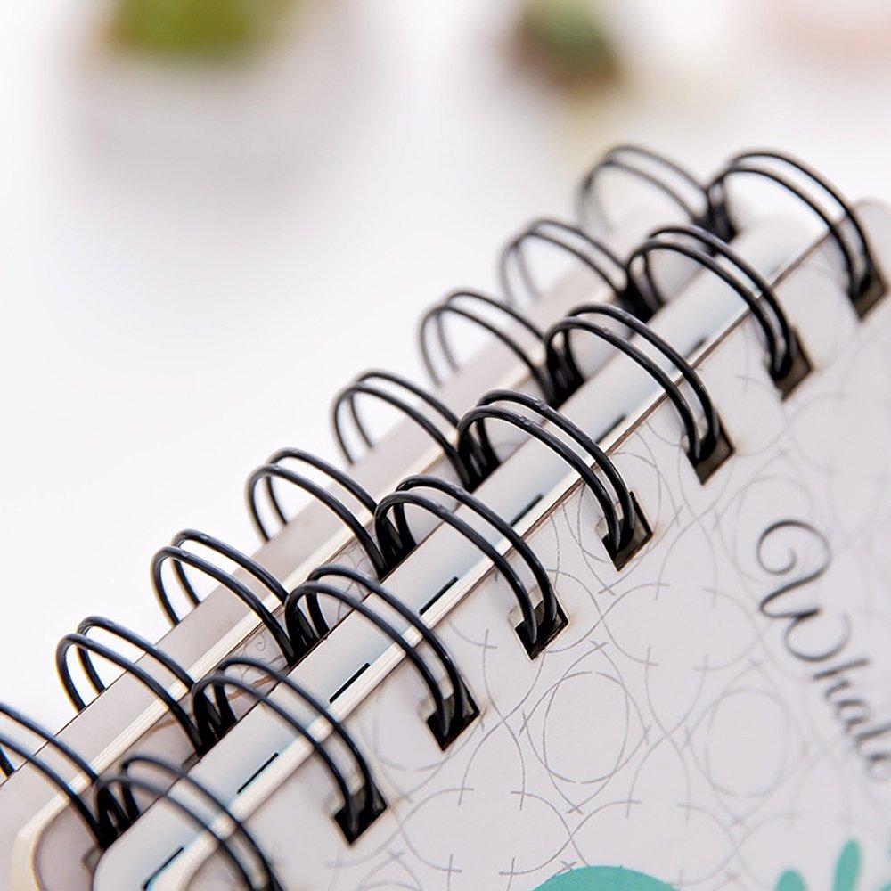 Amazon.co.jp: Zhi Jin 4冊 かわいいノート 日記帳 リングノート 日記