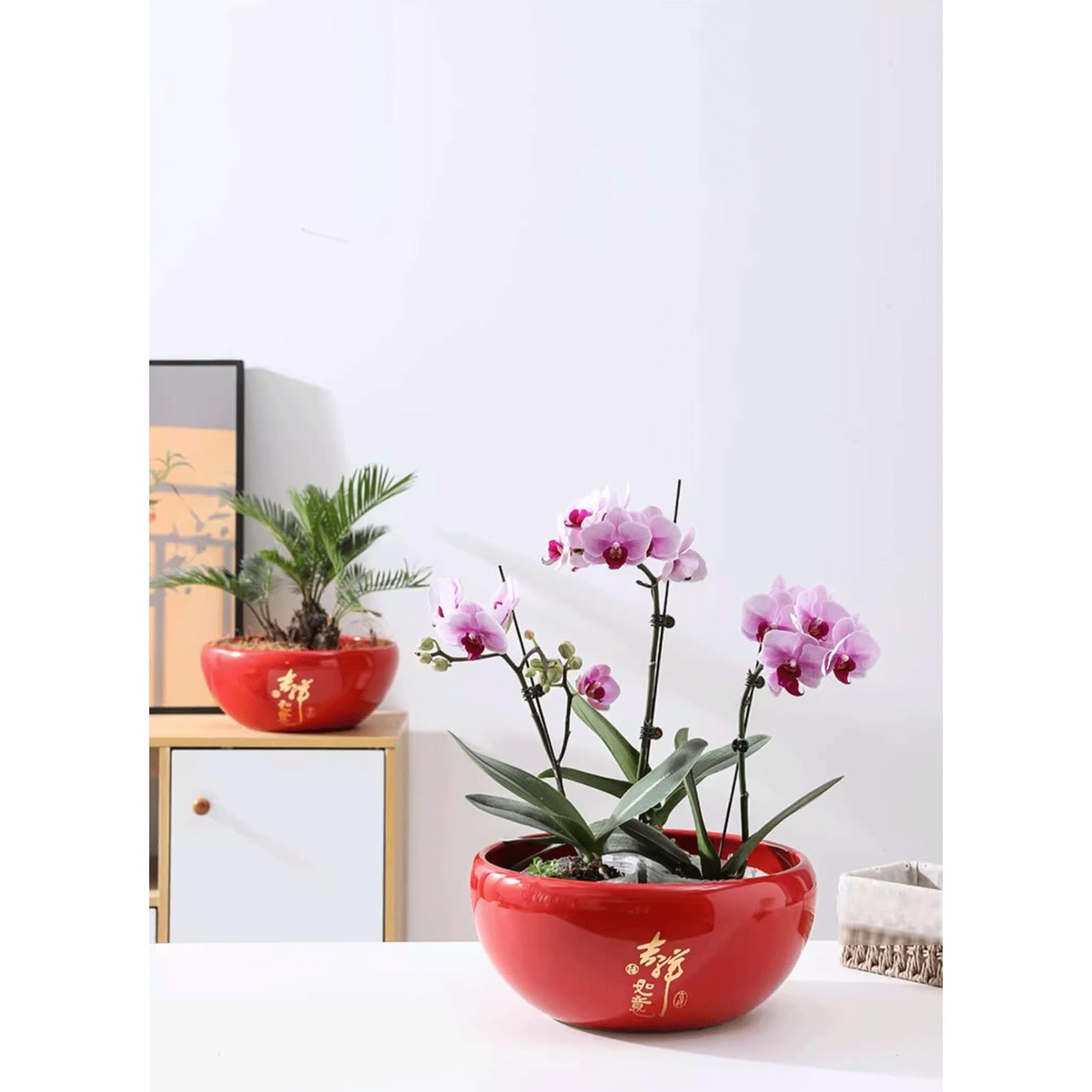 Dekoracyjna ceramiczna doniczka wewnętrzna z otworami drenażowymi i spodkiem z tworzywa sztucznego, okrągła, duża, płaska, na sukulenty, glazurowana ceramiczna doniczka na kwiaty na storczyki na
