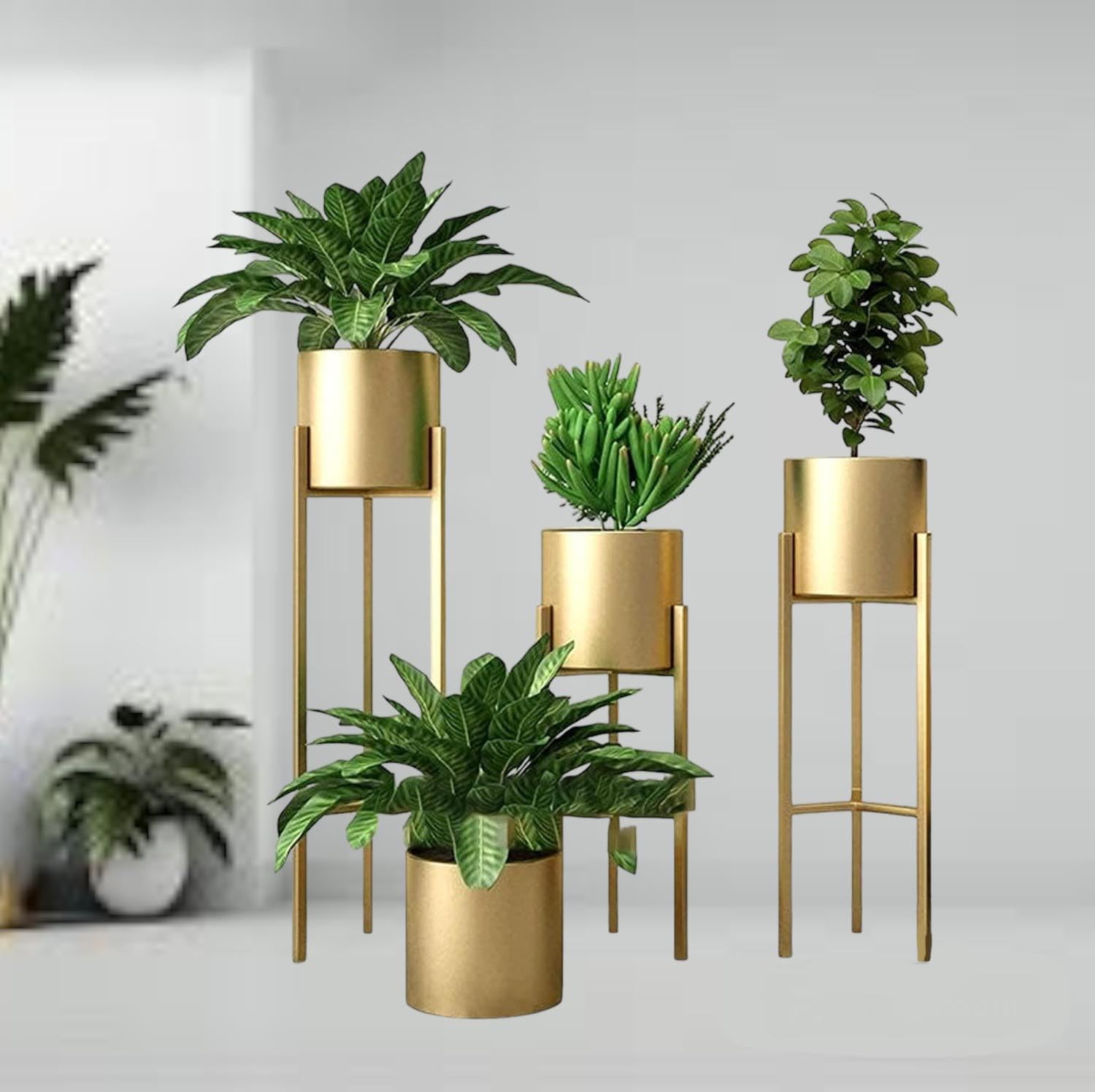 DECOR MANSION Metal Plantr with Stands | Planter for Living Room Bedroom Interior Balcony Metal Floor Plant Pot Set | Display Plant Stand | Tall Plant Stand for Garden, Office | Set of 3 (B0DF5KKBJM) Amazon Price History, Amazon Price Tracker