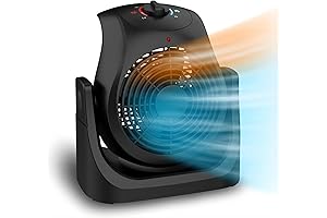 LifePlus 2 in 1 Office Heater and Fan Combo