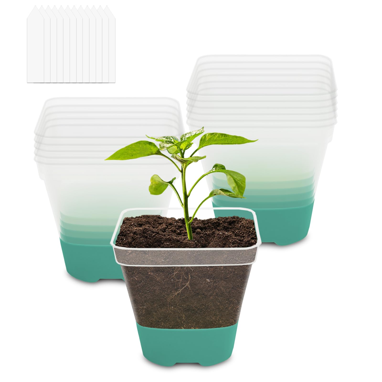 CNNIK Pack of 12 Propagation Pots with Silicone Base Flower Pot Plastic Square Seedlings Propagation Pots Planters for Plant Growing for Indoor Outdoor Use Green