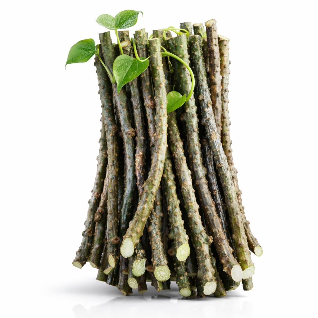 Giloy Stick (1 kg)-picture-21