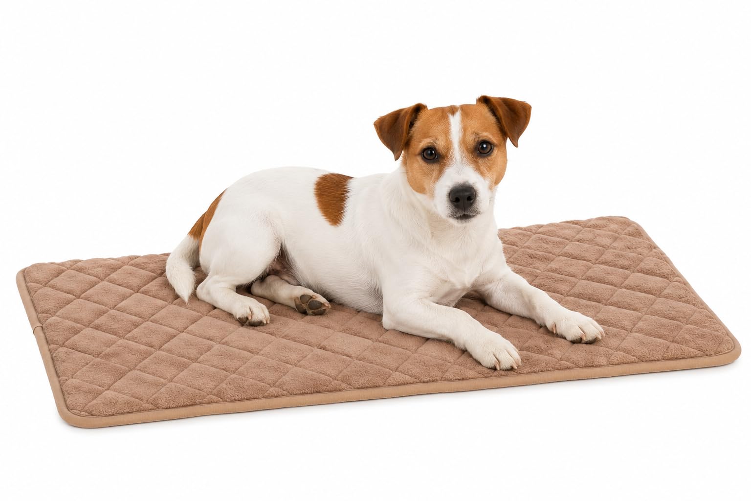 Coussin chien et chat orthopédique soulageant les articulations en mousse mémoire Weimar