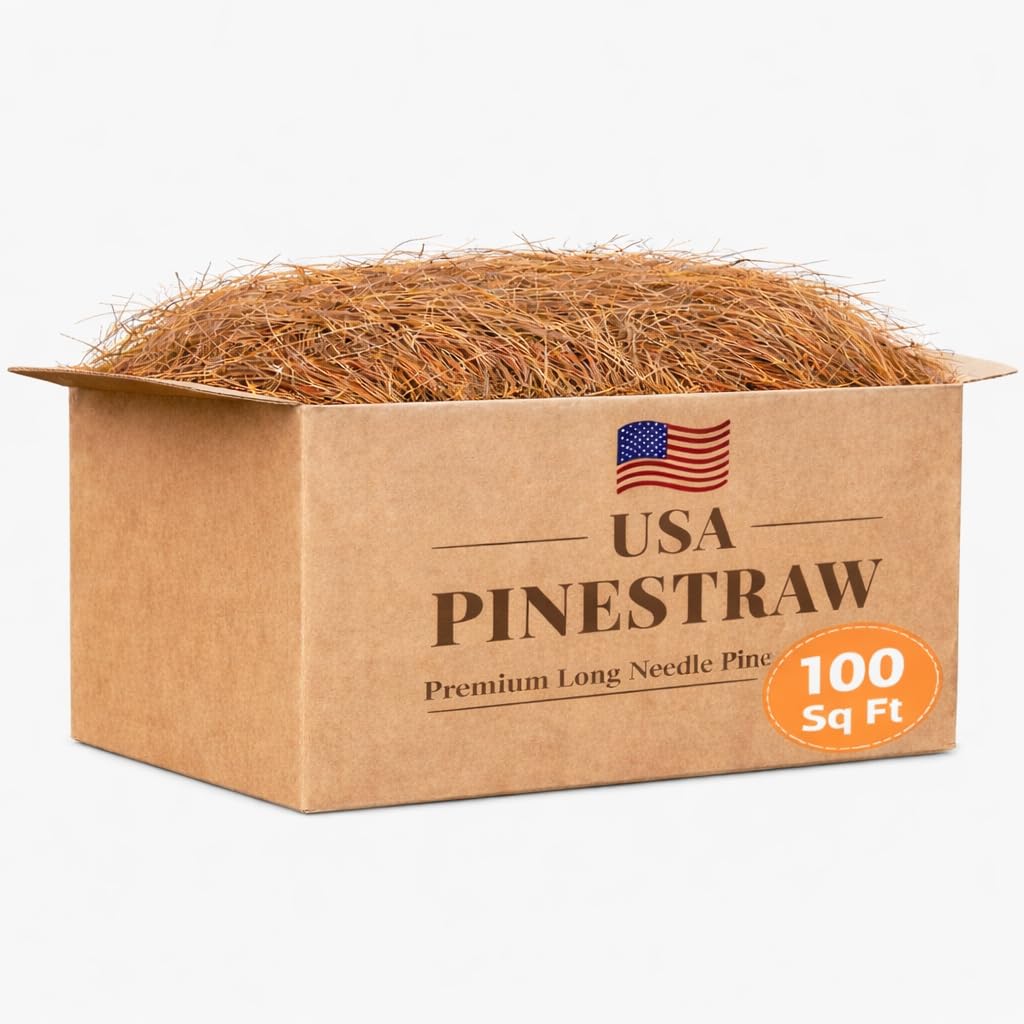 Long Needle Pine Straw Mulch - 100 Sqft Coverage 1 Set - Premium USA Harvested PineStraw for Landscaping, Weed Control, Moisture Retention & Erosion Control - USA Pinestraw