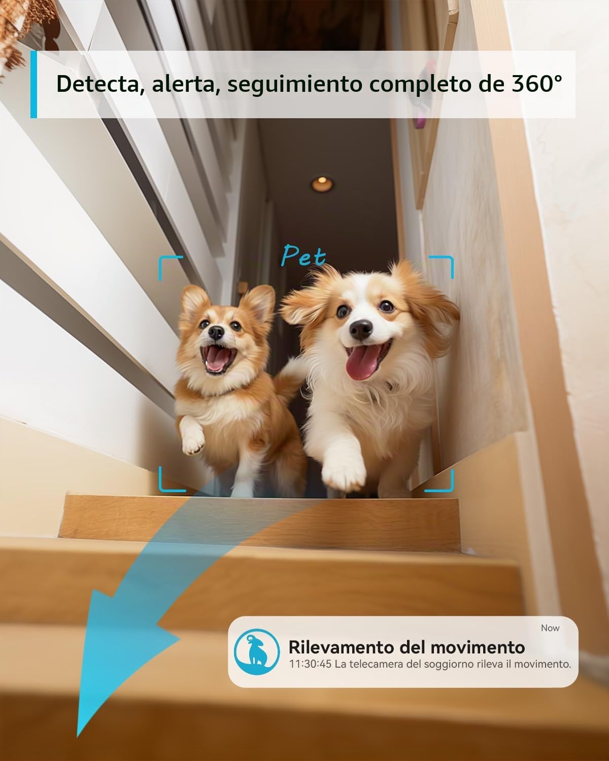 blurams Cámara de Vigilancia WiFi Interior 2K para Domicilio, 360°, Detección AI de Personas y Mascotas, Visión Nocturna a Color, Alerta en Tiempo Real, Audio Bidireccional, con Alexa, Solo 2.4G WiFi