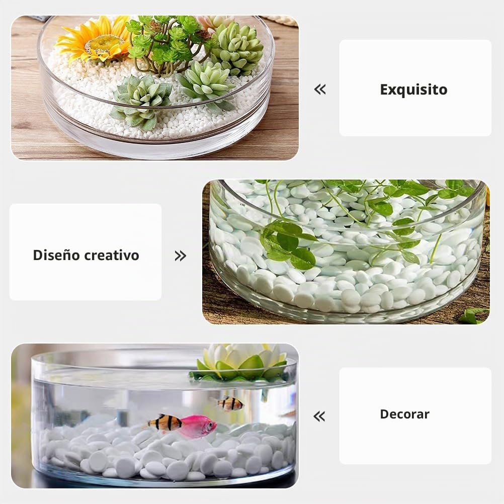 FOMIYES Jarrón cilíndrico Ancho de Vidrio, jarrón Transparente para Flores, Maceta hidropónica de Cristal, Maceta para terrario, Cuencos de Cristal, centros de Mesa, jarrón para Plantas
