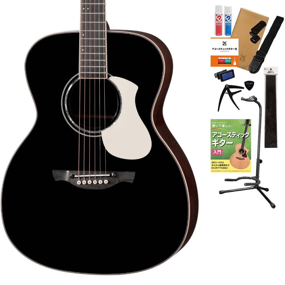 James ギター j-500a (ギタースタンド、ギターバッグ付)