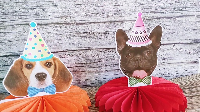 Corgi Gifts For Corgi Lovers Mondawe 15 Ft Rectangular Double