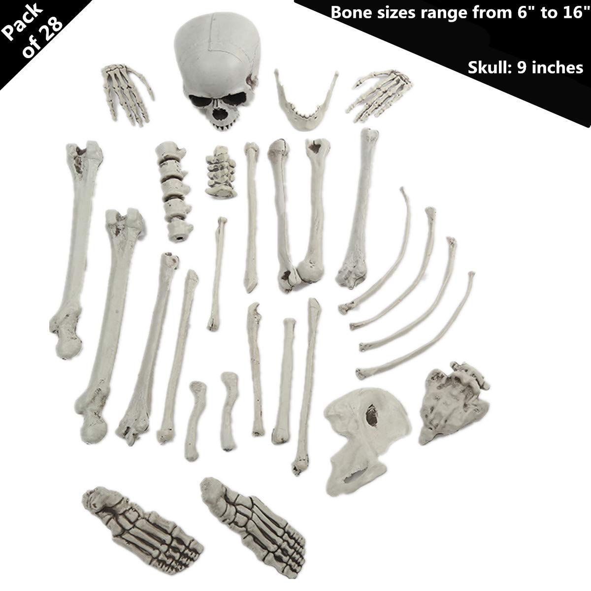 JoshParty Halloween Skeleton Bones Decoration, Spookiest Graveyard Humans Skull Spooky Scene (28)