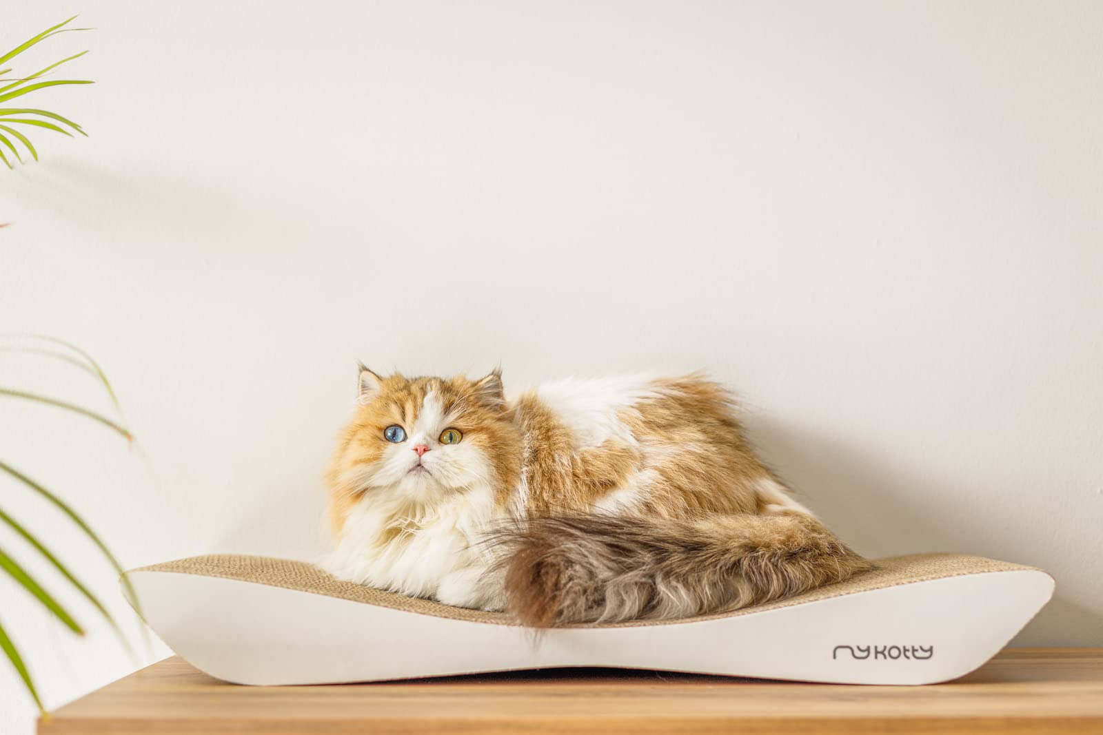 myKotty: Planche de grattement Réversible et Lit de Chat pour Dormir et S'amuser TOBI