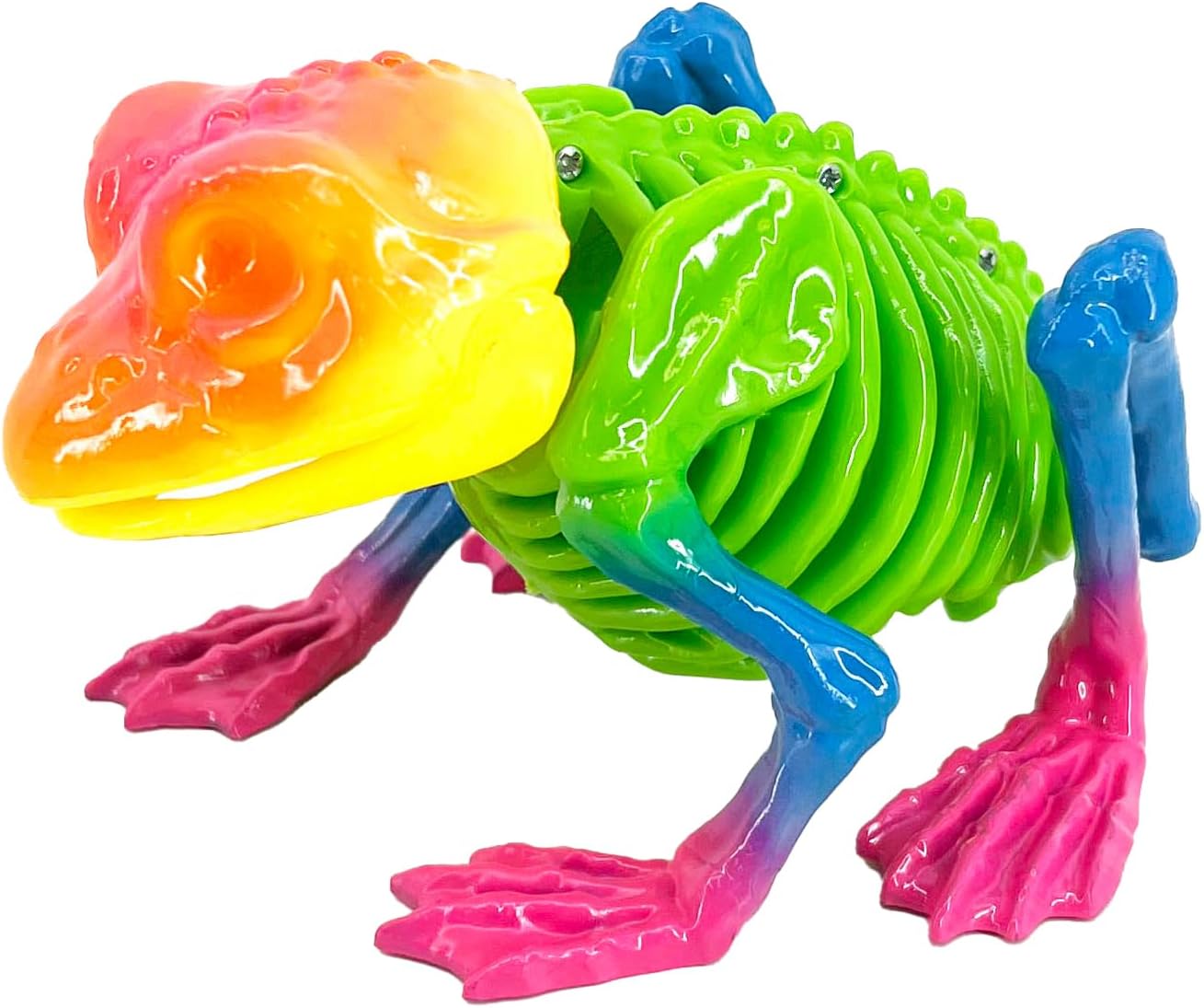Seasons 3" Rainbow Frog Halloween Decoration for Crazy Bonez Animal Skeleton Line