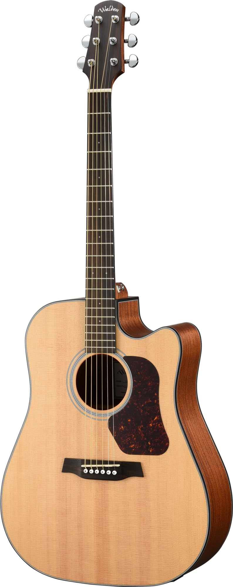 WALDEN Westerngitarre, WAD550CE, Dreadnought Cut, Decke massiv, Mattlack, EQ