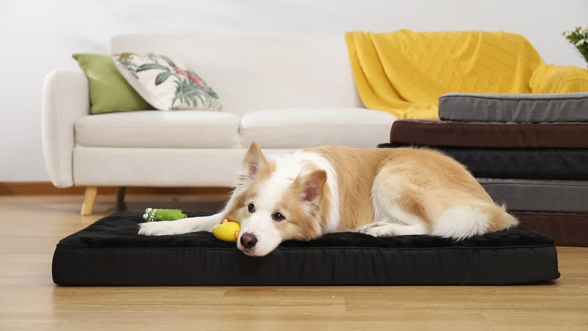 Orthopädisches Hundebett XXL – Waschbar, Rutschfest, Mit Seitendämmen, Grün, Für Große Hunde