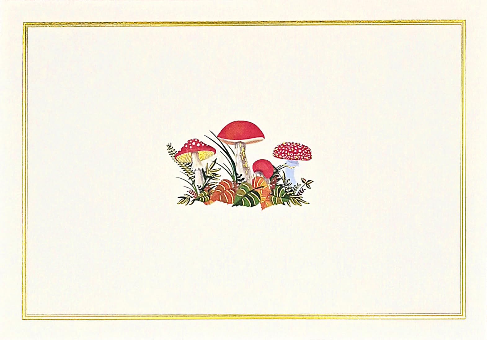 Mushrooms Note Cards (Stationery, Boxed Cards)