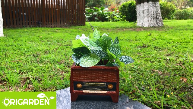 Amazon.com : ORIGARDEN Succulent Pot Planter Vintage Home-Decor