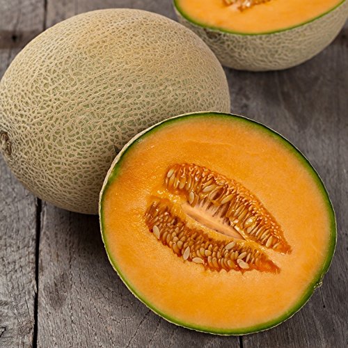 Creative Farmer Vegetable Seeds Rockmelon Seeds - Musk Melon Golden (Orange Flesh) Seeds Veg Seeds Home Garden Seeds (B07N4C7V9Z) Amazon Price History, Amazon Price Tracker
