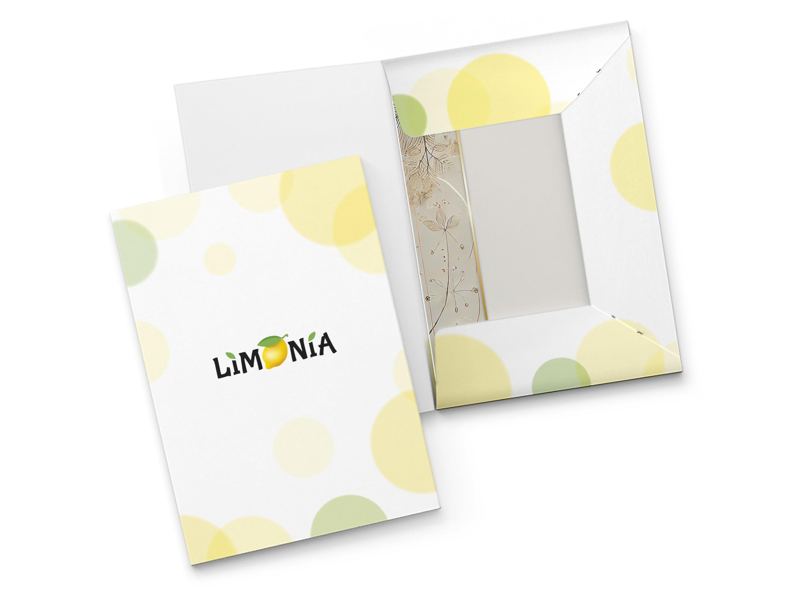 Briefpapier-Set 250 Druckerpapier DIN A4 + 250 Kuverts DIN-lang haftklebend Naturfarben Elegante Federn - Naturskizzen beidseitig bedruckbar für Geburtstag Jubiläum Hochzeit Menükarte