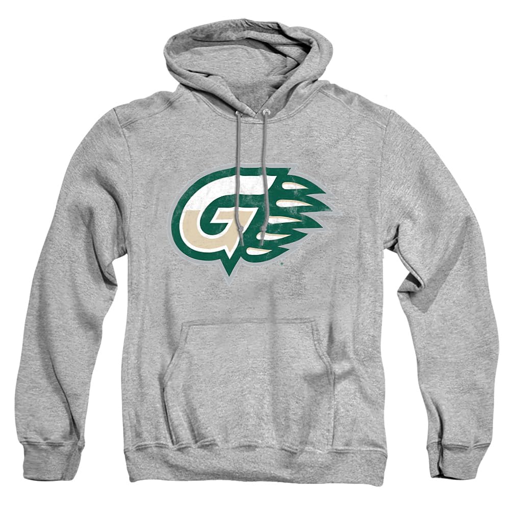 LOGOVISION Official Collegiate Distressed Primary Logo Adult Pullover Hoodie Collection — view 478