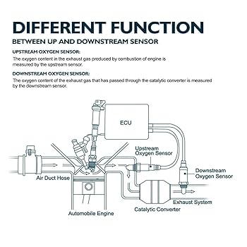 さおり樣專用 ENYI 28488580 O2 Sensor - Reliable for Harley Davidson Bx100