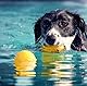 Teogneot Hundespielzeug Knochen mit Seil, Gelb, Schwimmfähiges Apportierspielzeug, Robustes Kauspielzeug (L, Sport)