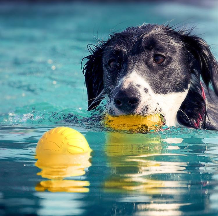 Dog Toy Ball with Rope, Yellow, Throwing Ball with Tricolour Loop for Training and Fetch - Image 3