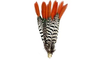 Moth Antenna Headband with 8-10 Inch, 10-Pack Sowder Red Lady Amherst Pheasant Feathers