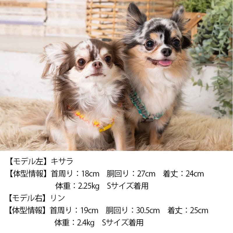 Rin出品 alpha adidas Originals ZX 8000 Atmos G-SNK EQT HQ3937 | FLEXDOG