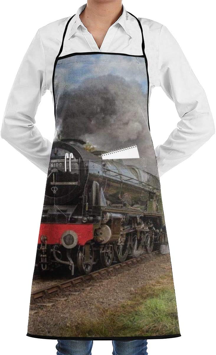 dhdhgdfj Steam Train Scottish Chef Apron for Women. Cute Kitchen Aprons with Pockets. Thanksgiving Apron/Christmas Apron for Cooking,Baking & Painting.