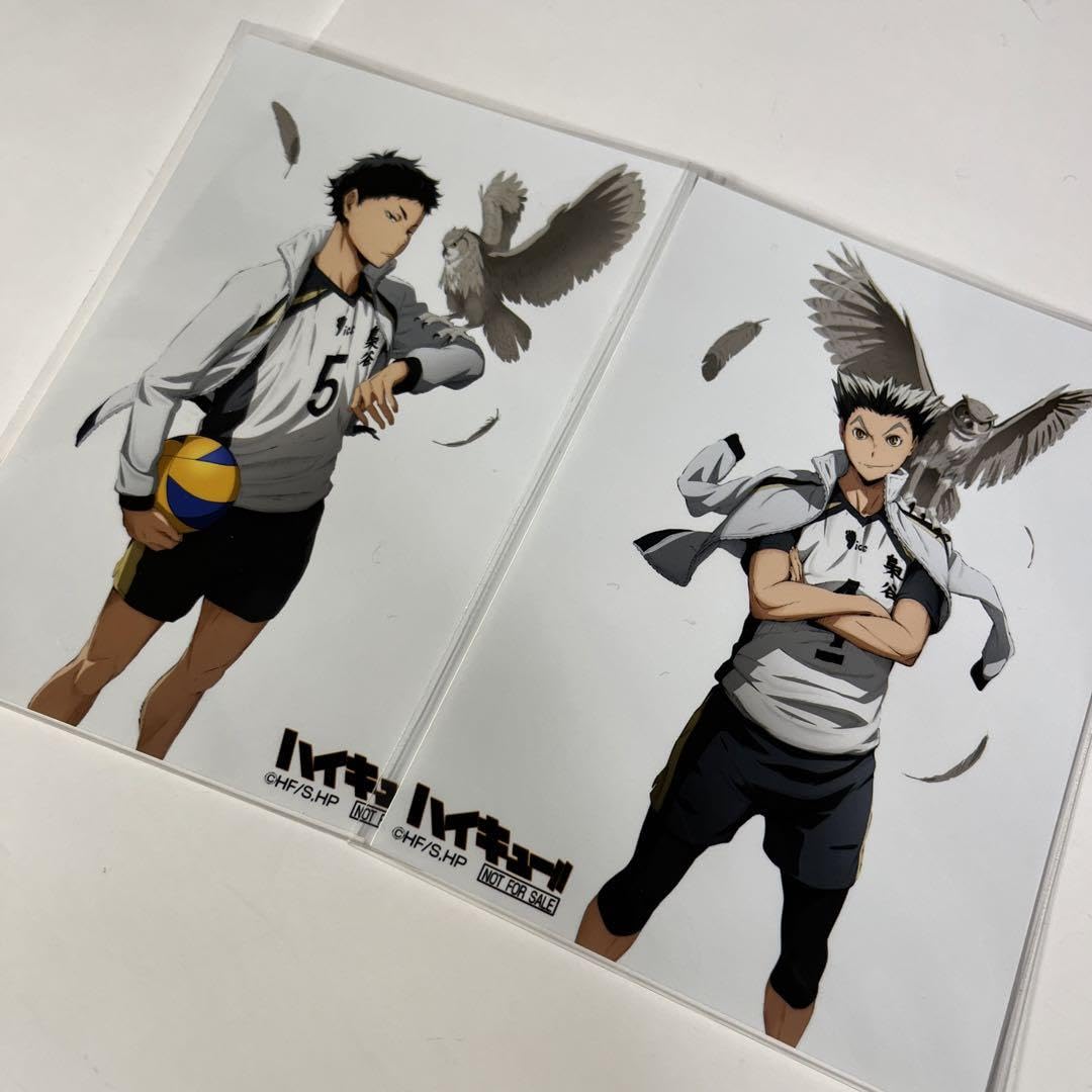 Amazon.co.jp: ハイキュー ジャンフェス 限定 描き下ろし ブロマイド 