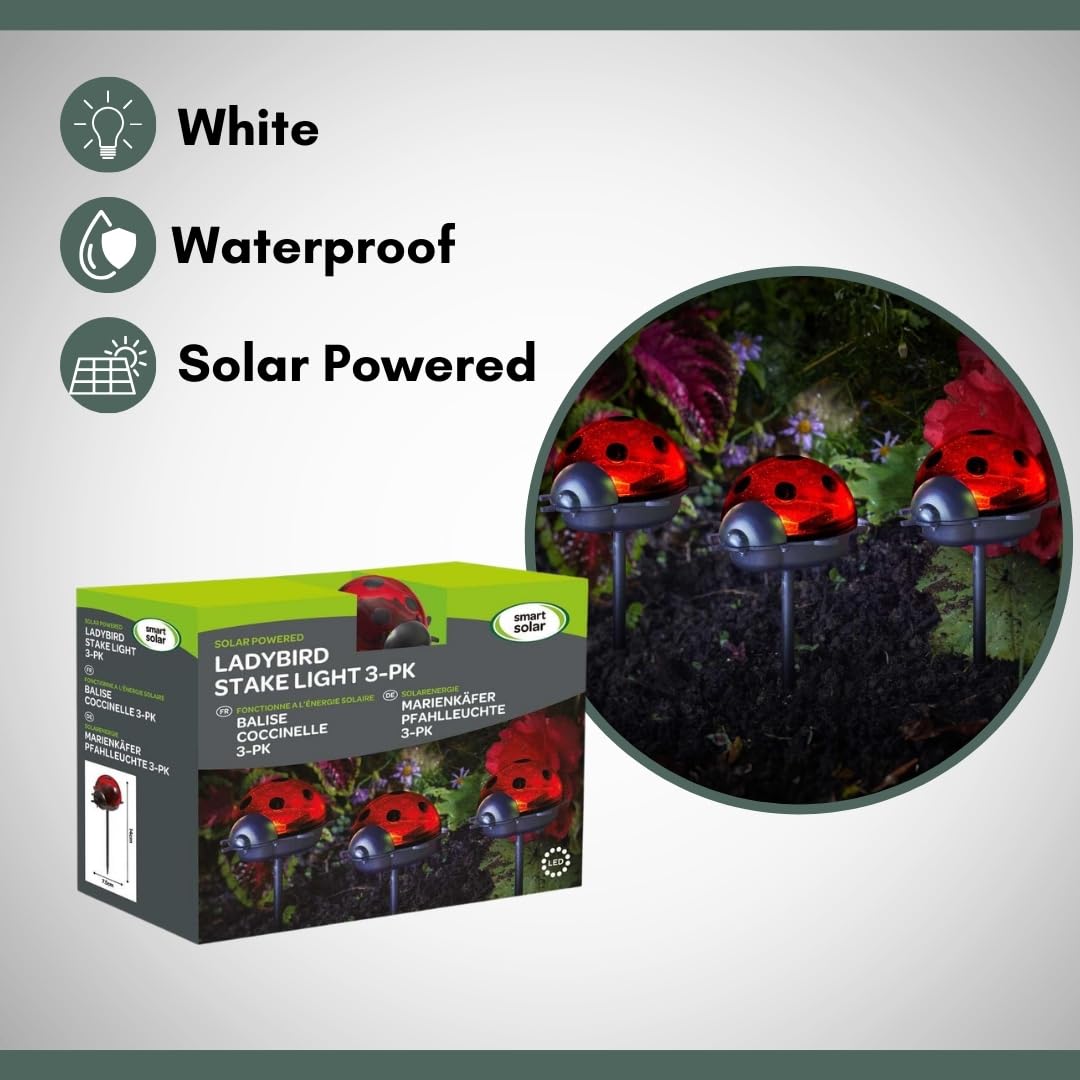 Garden Mile Set Of 3 Ladybird Solar Stake Lights Brightly Coloured Solar Garden Lights Outdoor Waterproof Ideal For Flowerbeds Borders Driveway Pathway Lighting Outdoor Decorations - Image 4