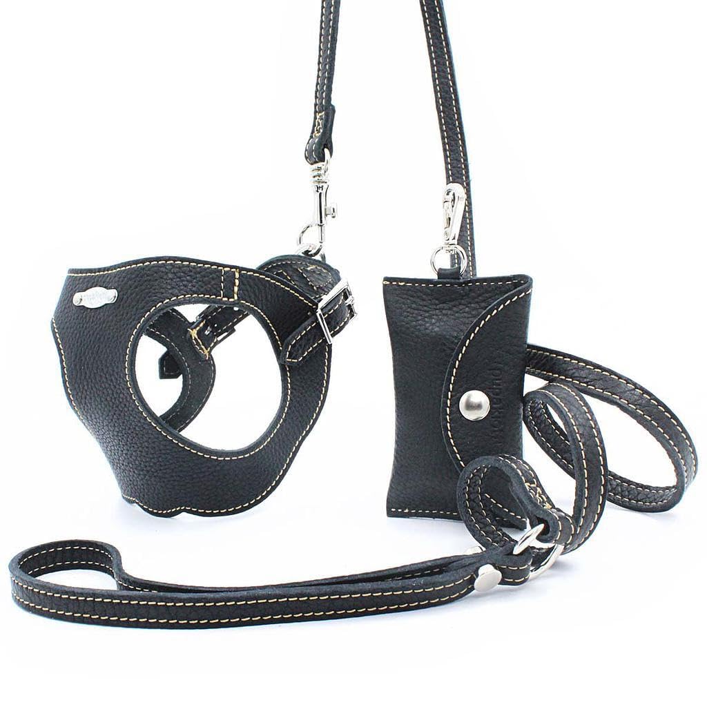 Basic. Set 3 Pezzi. Pettorina per Cani, Guinzaglio e Porta Sacchetti per Cane in Pelle Made in Italy Arancione 2XS