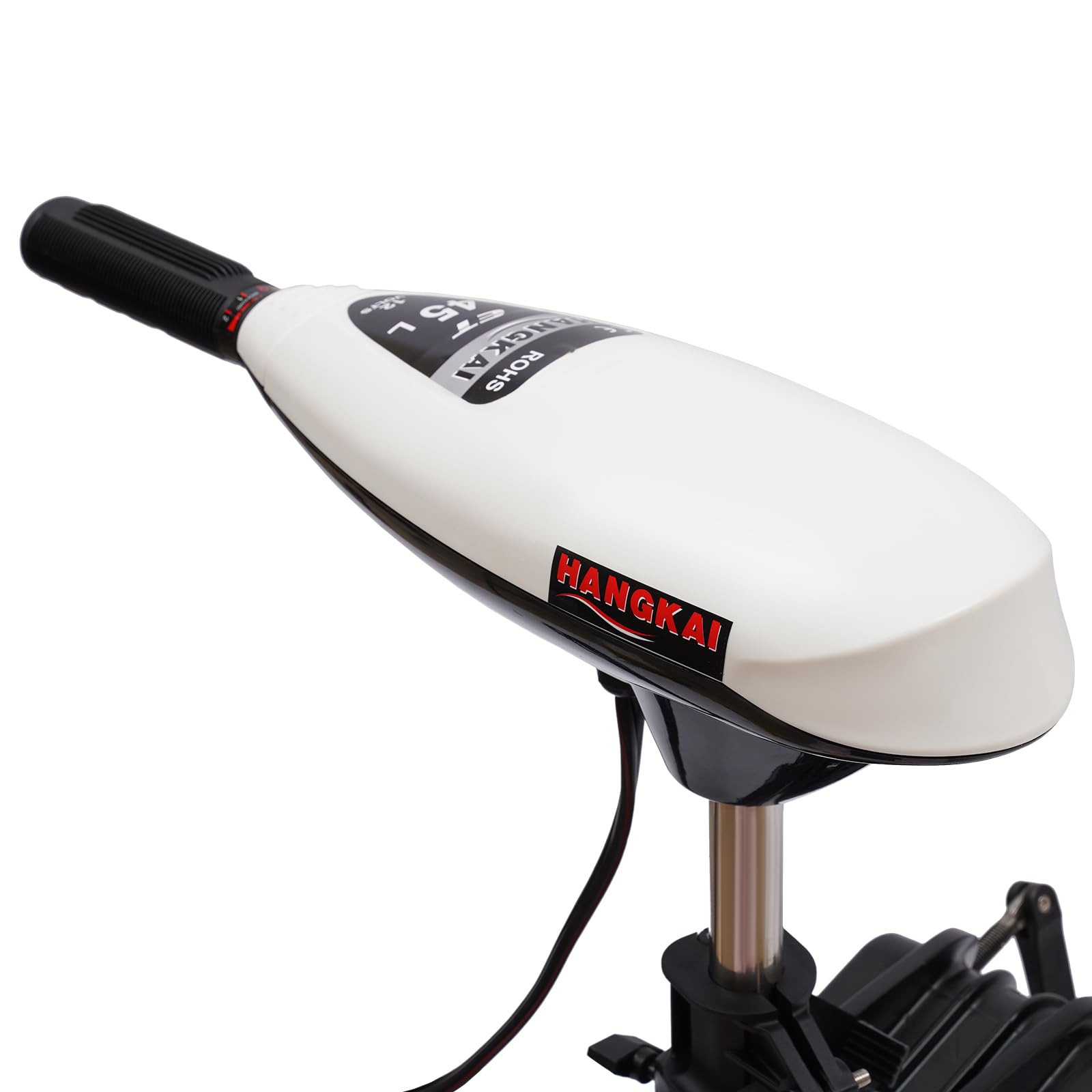 Motore fuoribordo elettrico 12V 20,41 kg 5 velocità avanti 2 retro per barca kayak canoa gommone