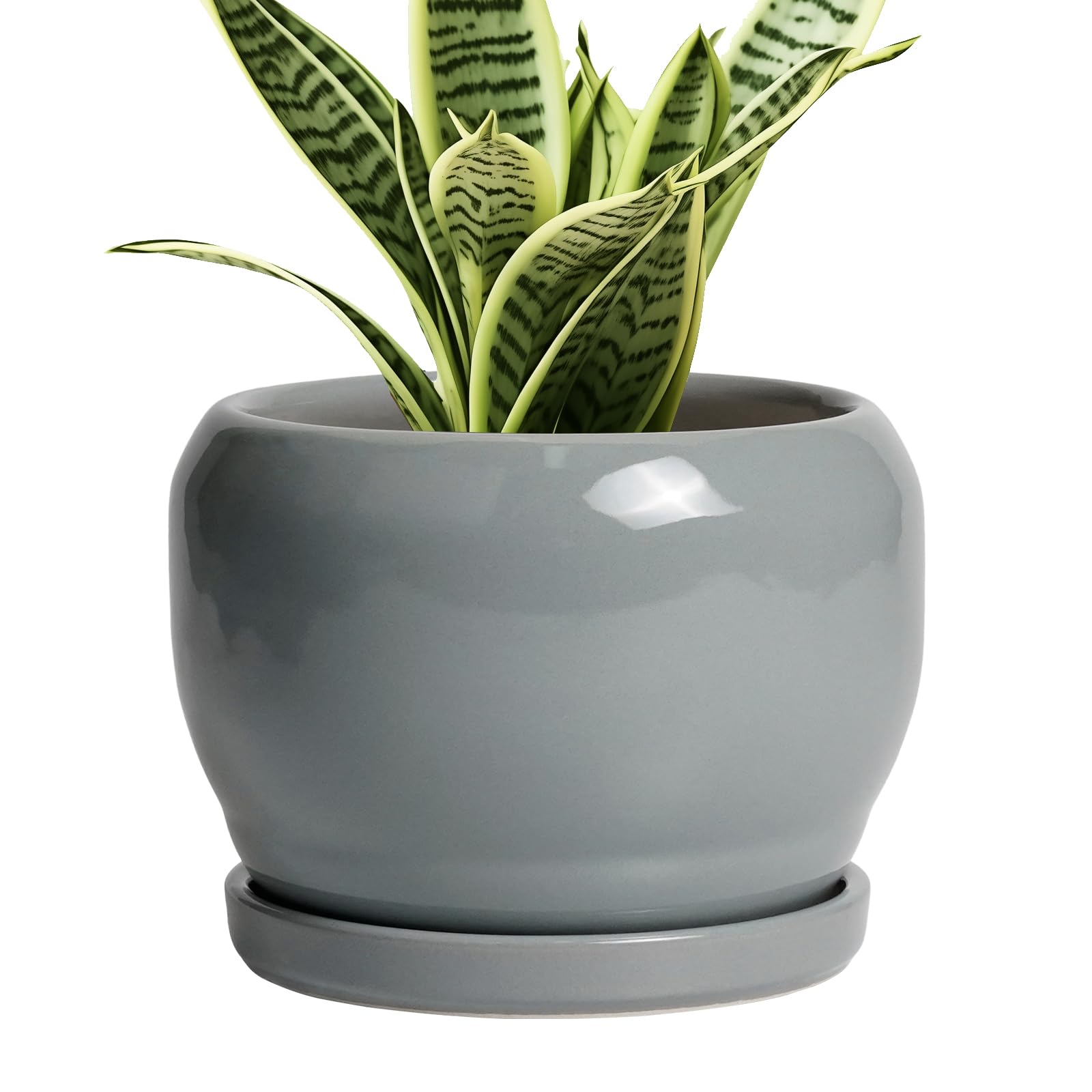 SQOWL 6 Inch Plant Pots - Ceramic Planter with Drainage Hole and Saucer
