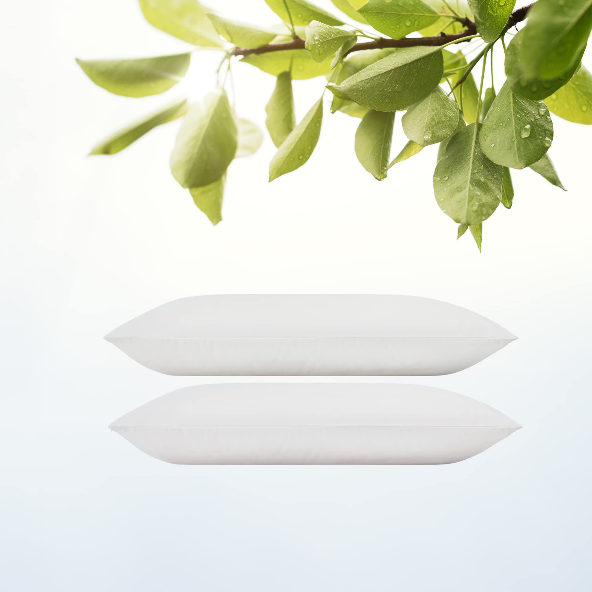 RejuveNite American Talalay Latex Medium Support High Profile Bed Pillow for Sleeping with Luxurious 100% Cotton Sateen, 400TC Cover, Queen Dual Pack ?Çô Made in USA