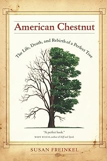 American Chestnut: The Life, Death, and Rebirth of a Perfect Tree
