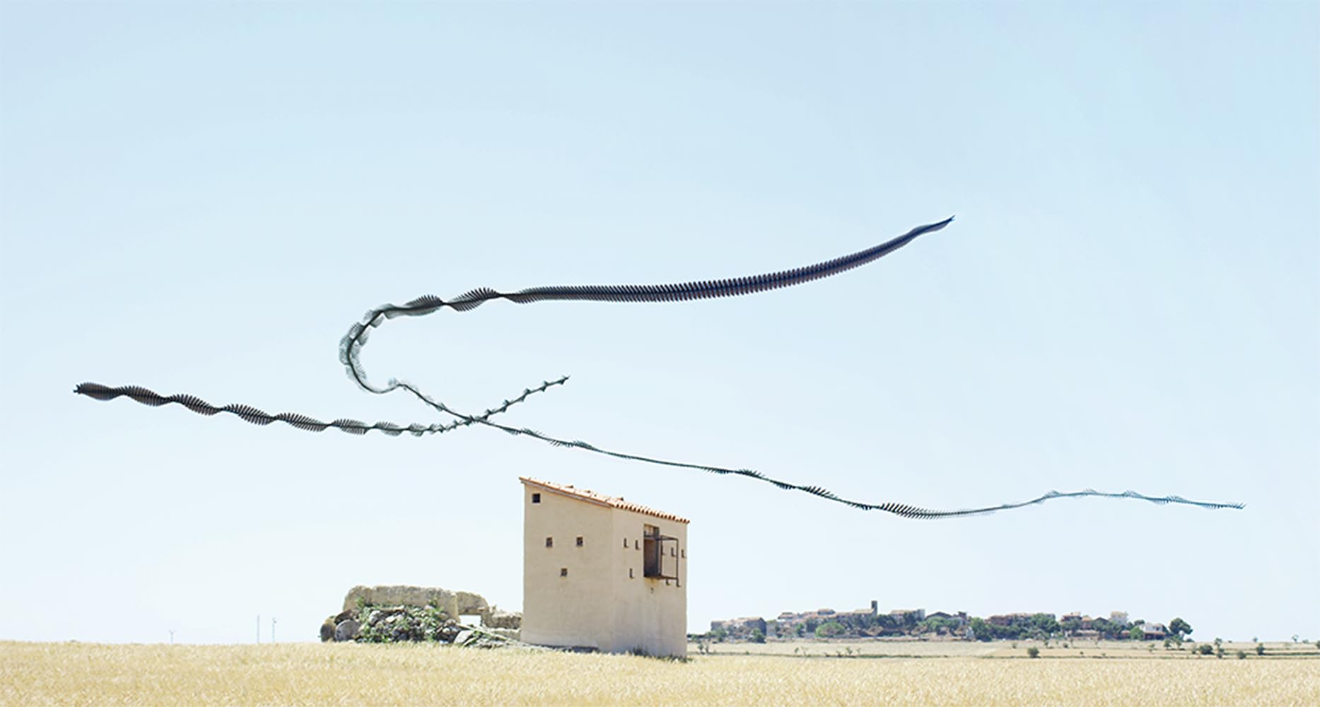 Ornithographies