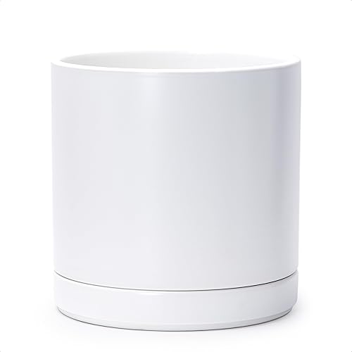 D'vine Dev 10 Inch Ceramic Planter Pot with Drainage Hole